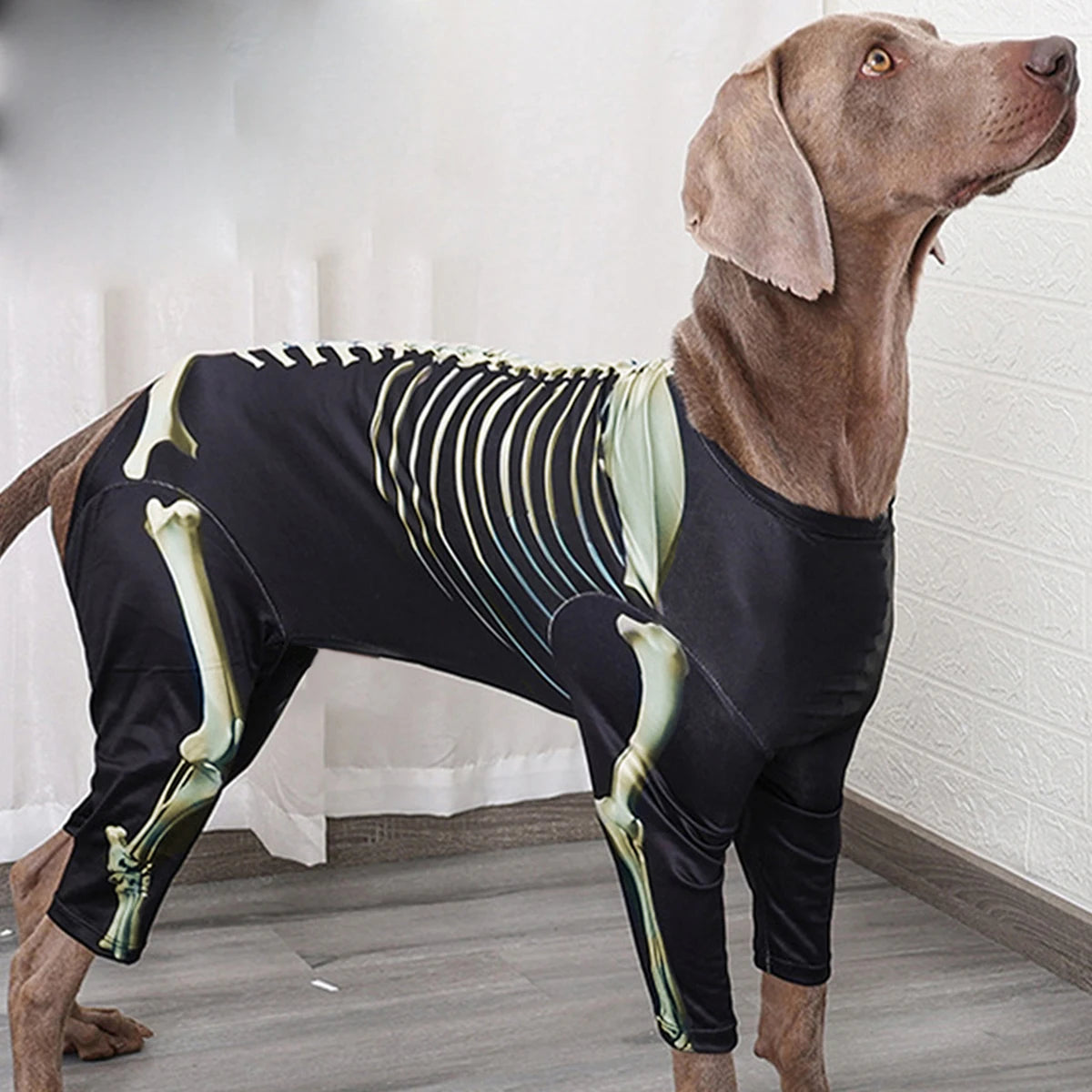 Pet Skeleton Costume