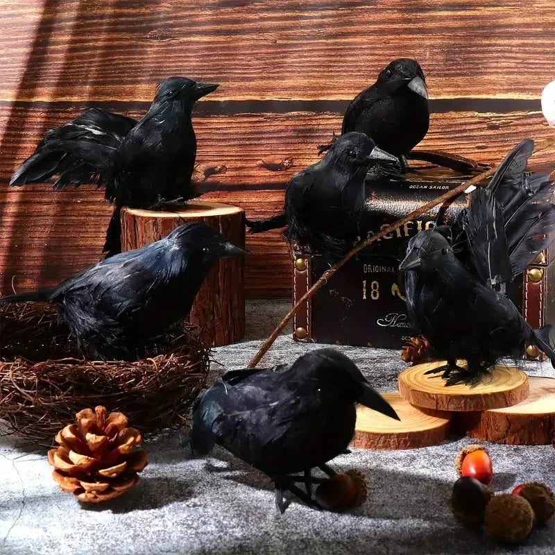 Black Feather Crow Set (1-6pc)