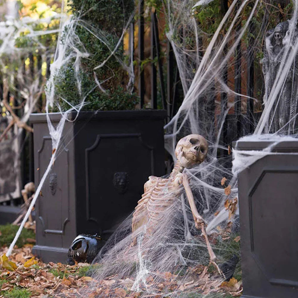 Stretchy Spider Web with Spiders