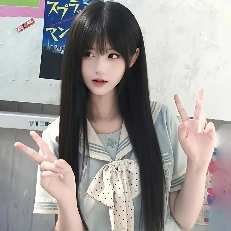 Sleek Black Straight Wig