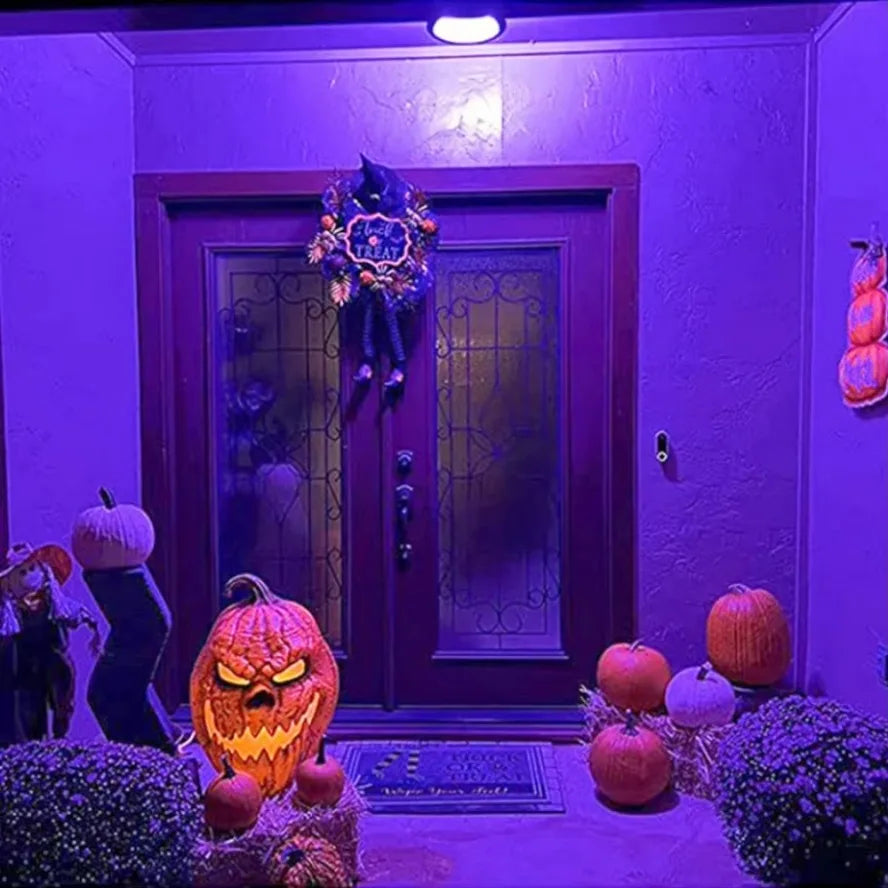 12W Purple Blacklight Bulb