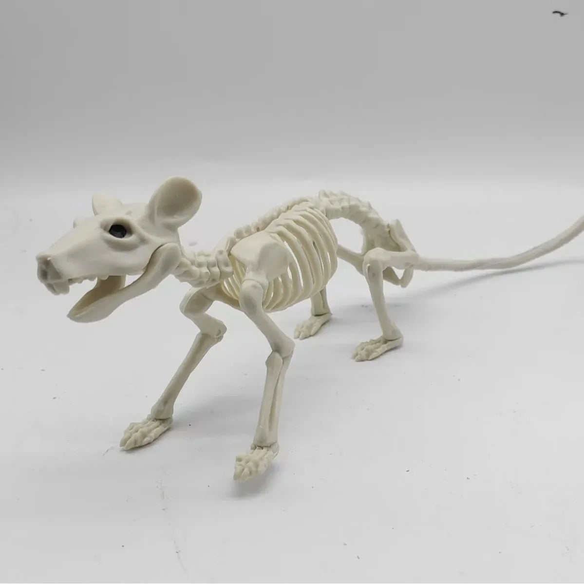 Cat and Mouse Skeleton Set