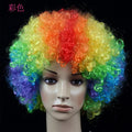 Curly Afro Clown Wig
