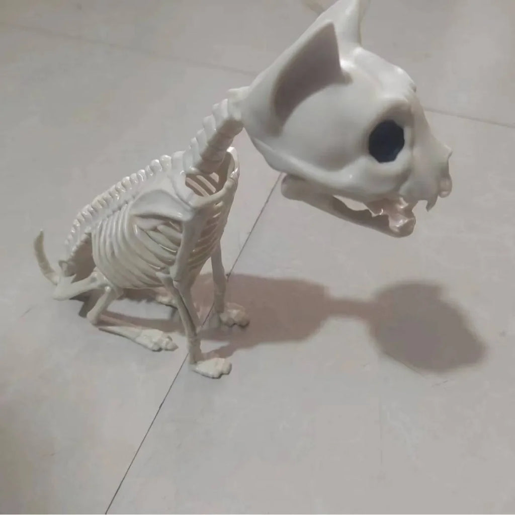 Cat and Mouse Skeleton Set