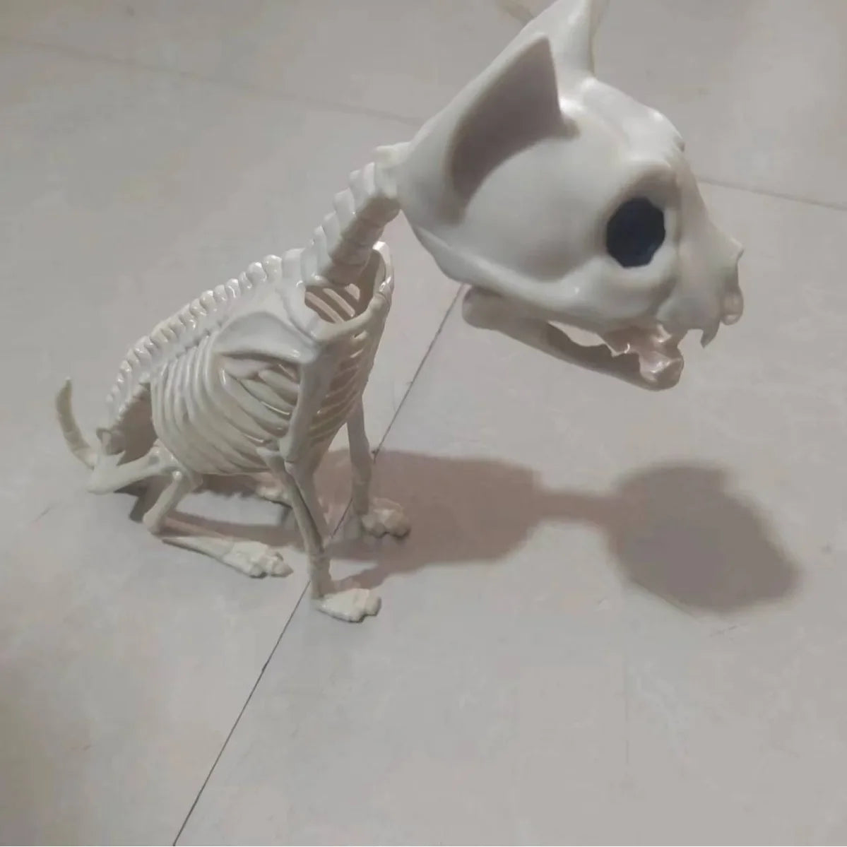 Cat and Mouse Skeleton Set