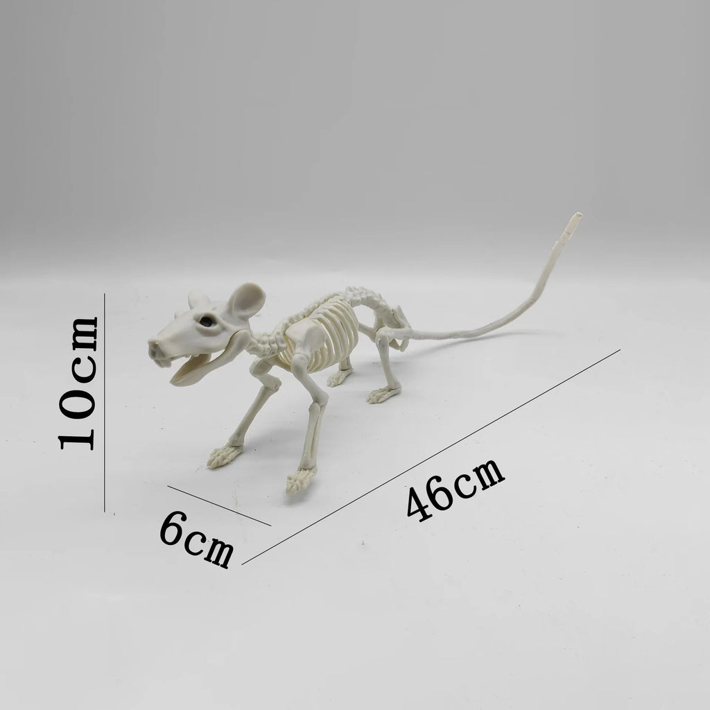 Cat and Mouse Skeleton Set