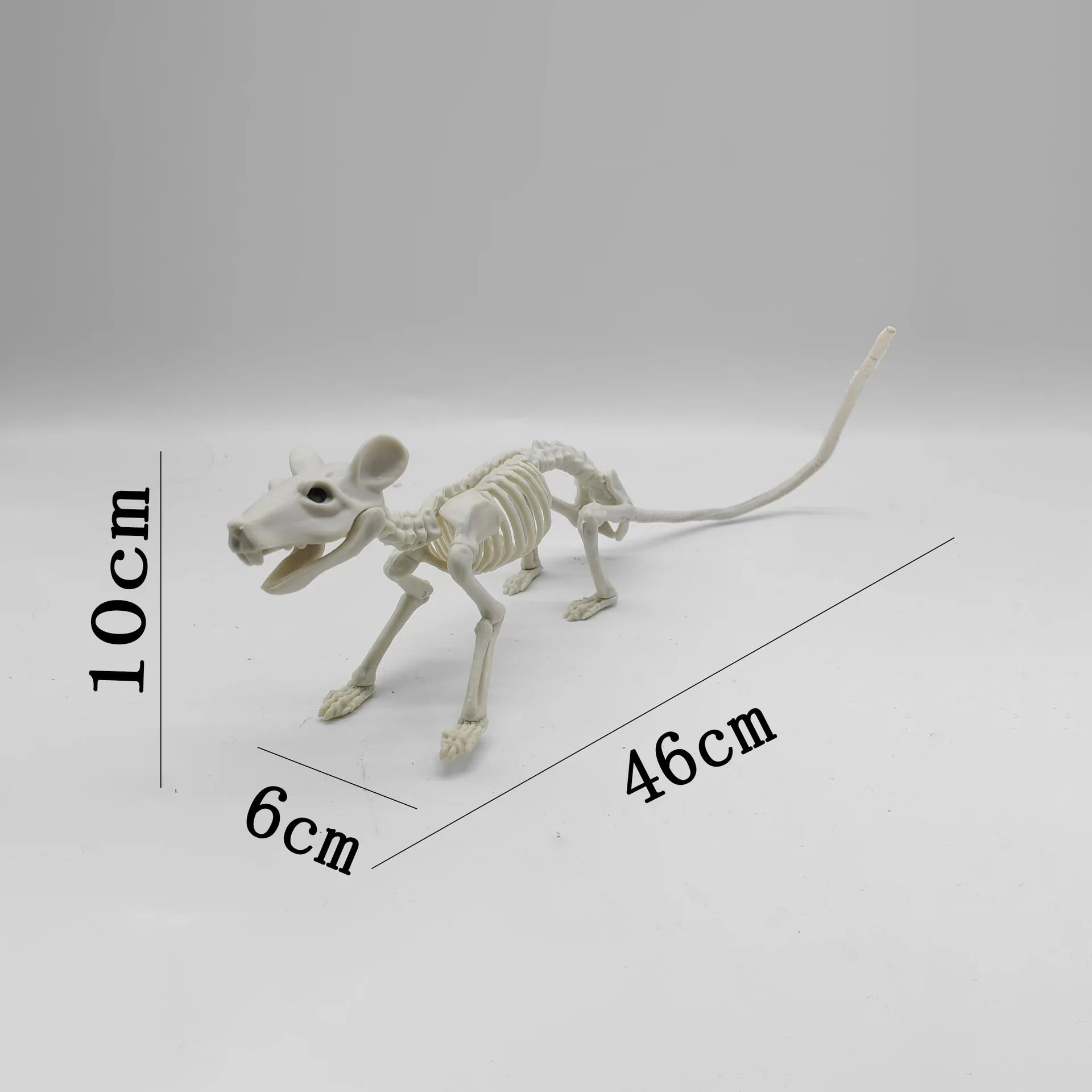 Cat and Mouse Skeleton Set