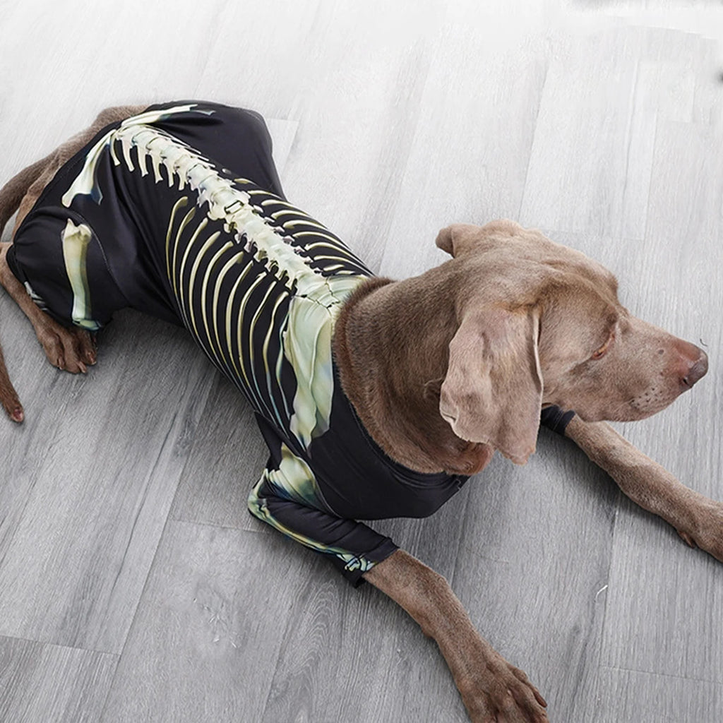 Pet Skeleton Costume