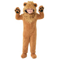 Kids Lion Costume