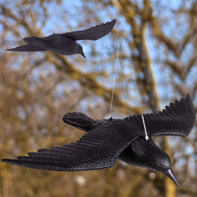 Black Crow Bird Simulation (Raven)