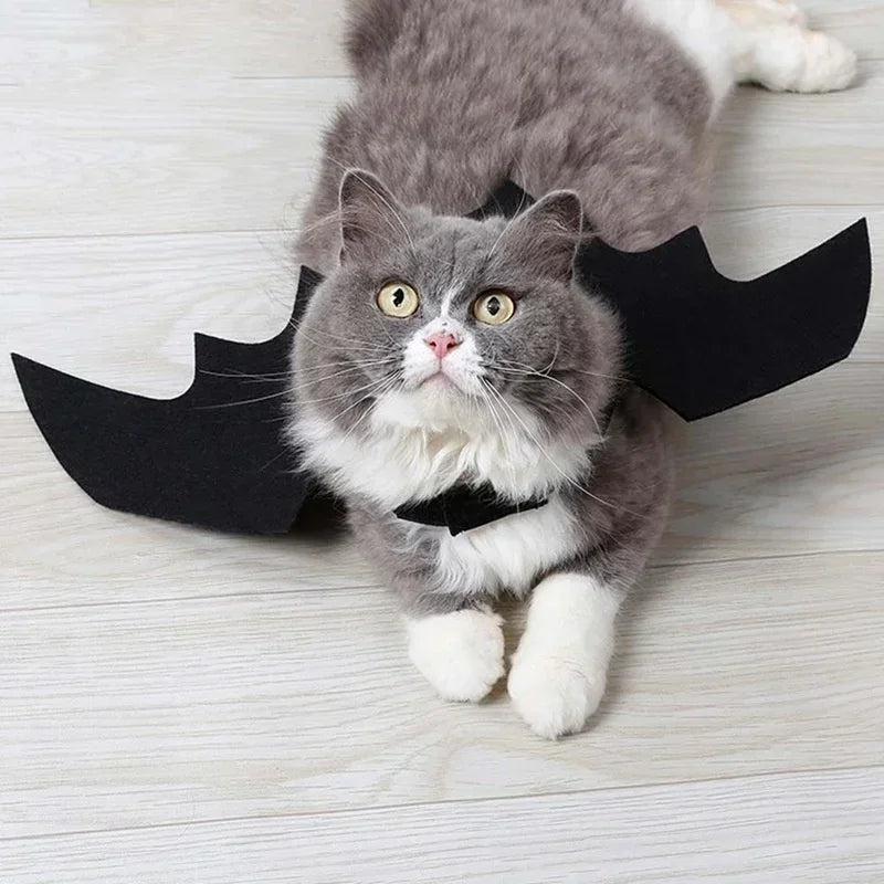 Pet Bat Wings Harness