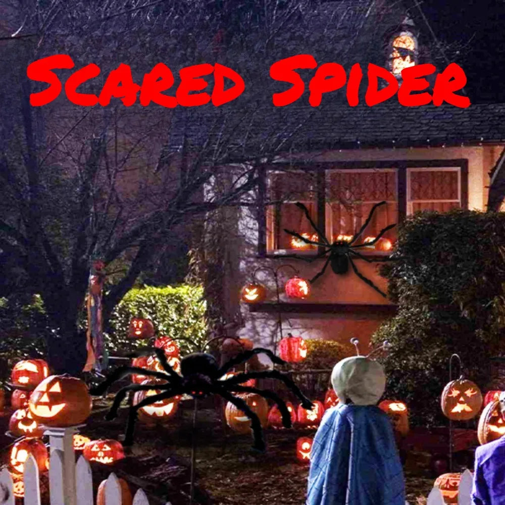 Giant Yard Spider, Indoor & Outdoor