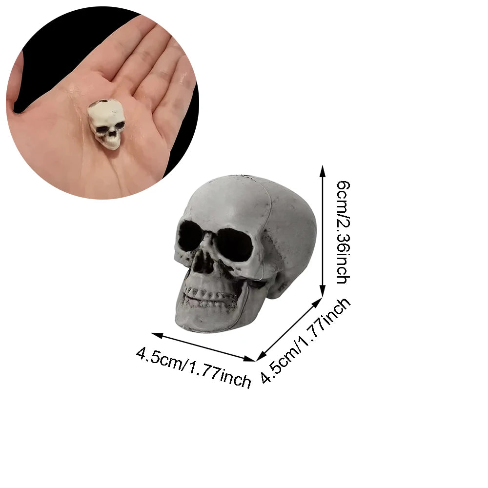 Realistic Plastic Skull Decoration