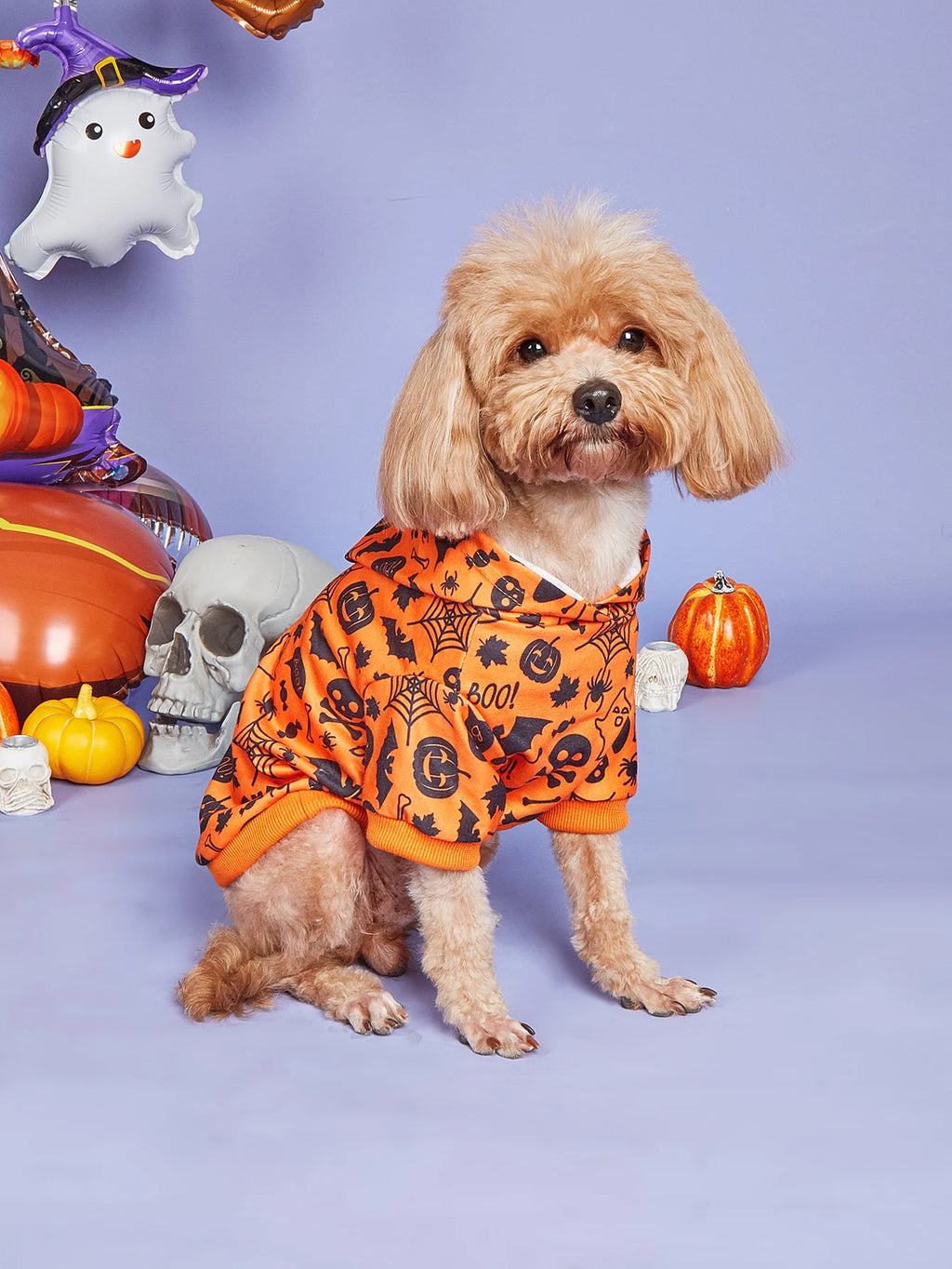 Dog Holiday Costume