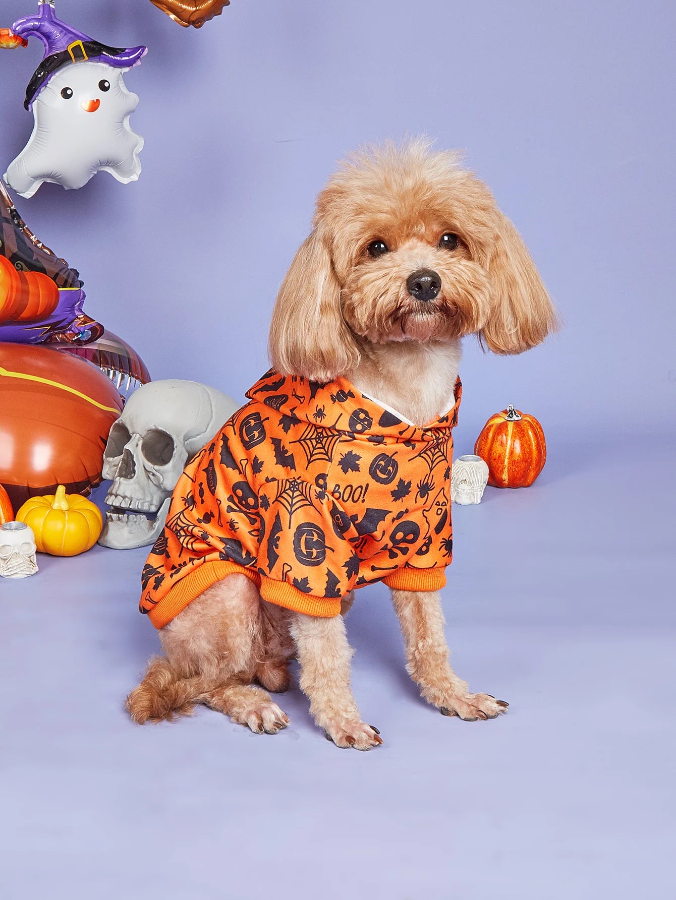 Dog Holiday Costume
