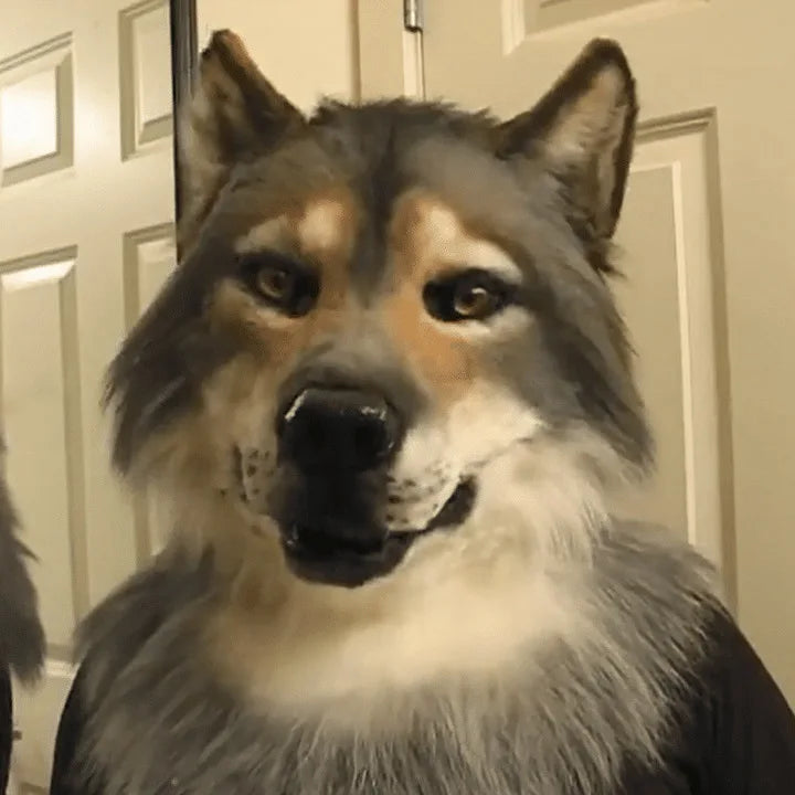 Plush Animal Head Mask