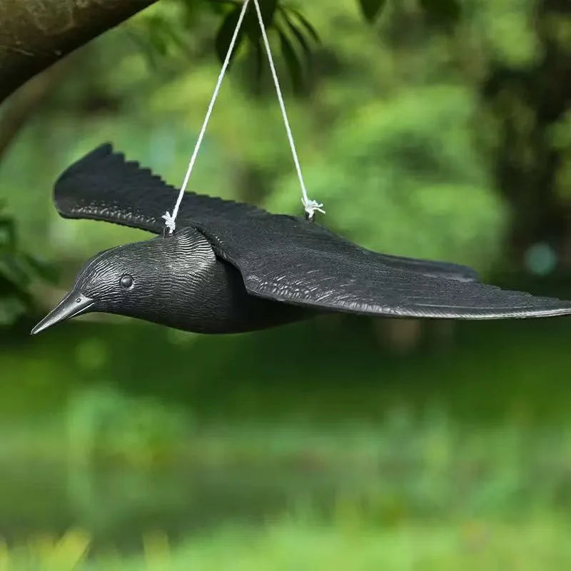 Black Crow Bird Simulation (Raven)