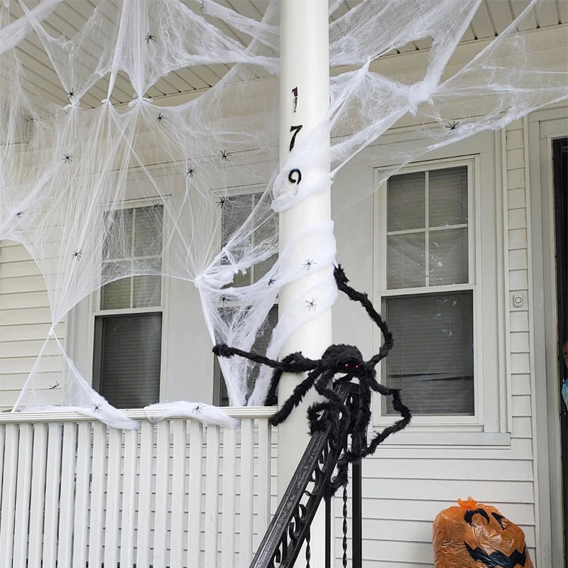 Stretchy Spider Web Cobweb (Bar/Indoor)