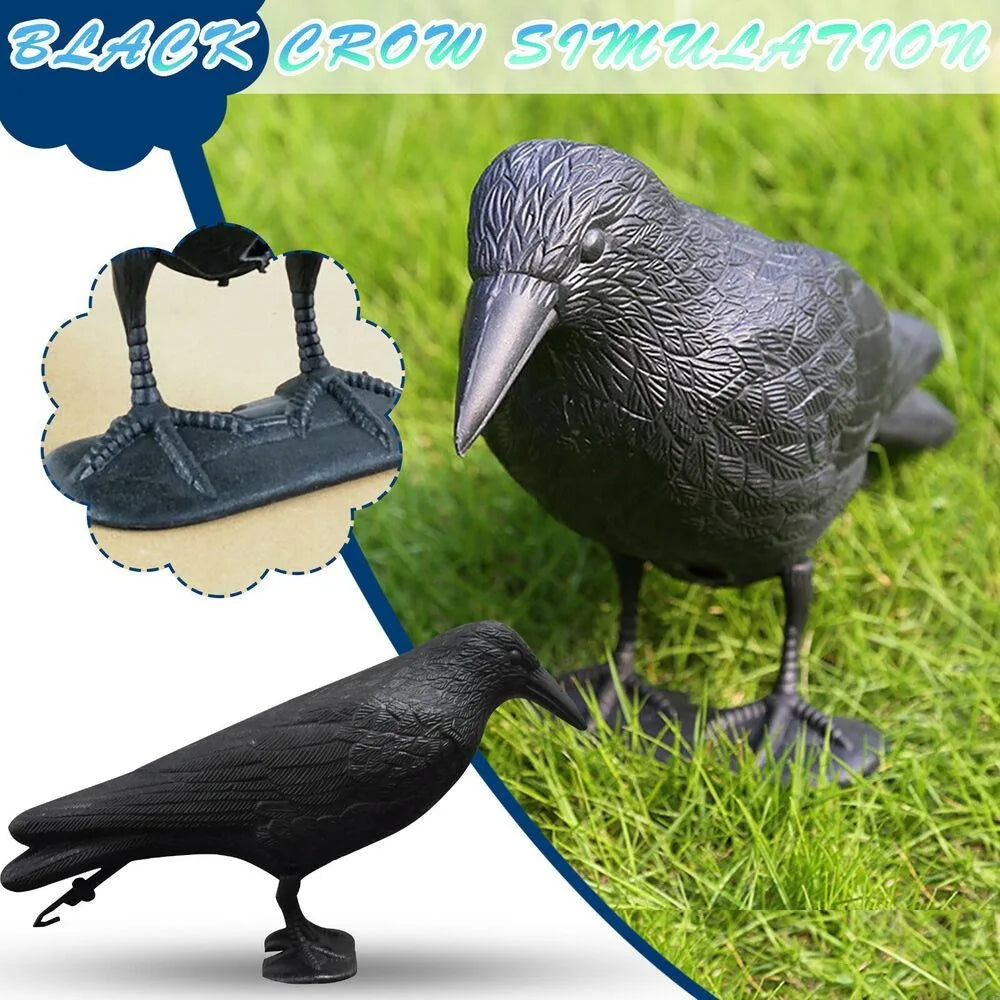 Black Life-Size Crow