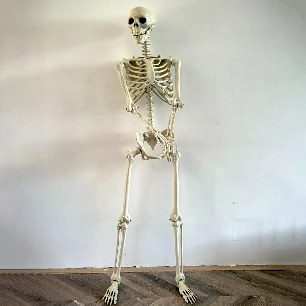 Full-Body Outdoor Skeleton
