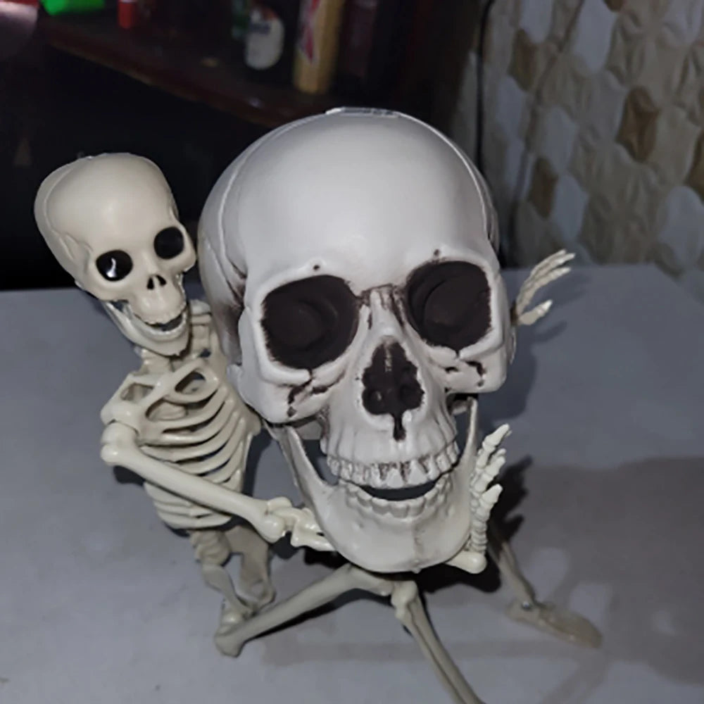 Realistic Plastic Skull Decoration