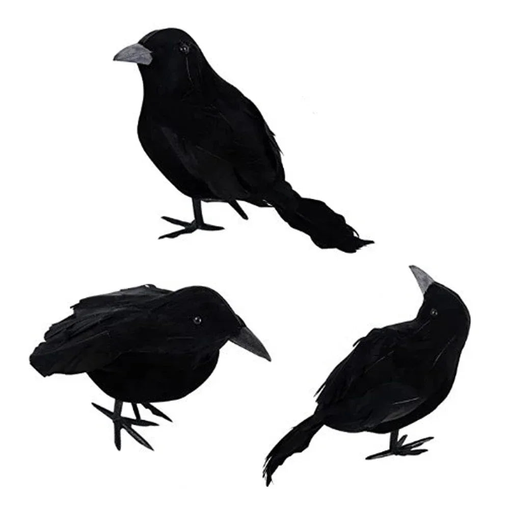 Black Feather Crow Set (1-6pc)