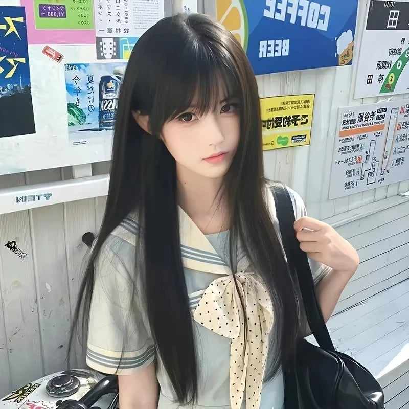 Sleek Black Straight Wig