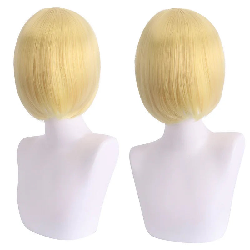 Customizable Cosplay Wig