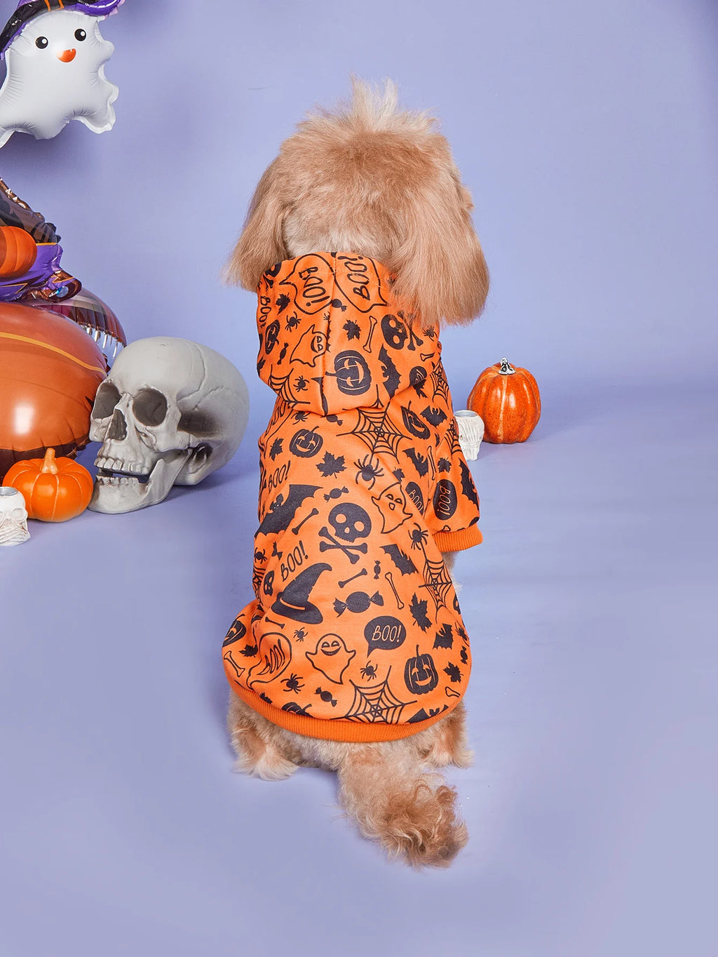 Dog Holiday Costume