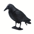 Black Life-Size Crow