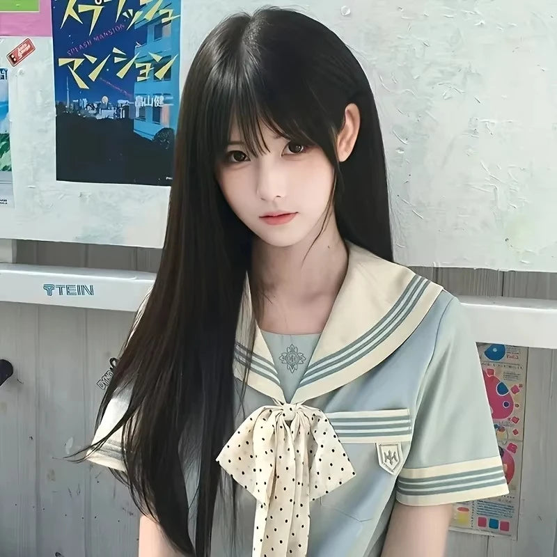 Sleek Black Straight Wig