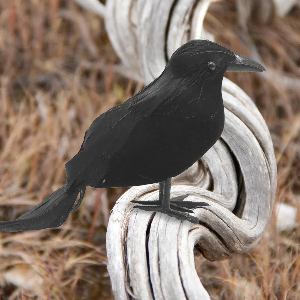 Black Feather Crow Set (1-6pc)