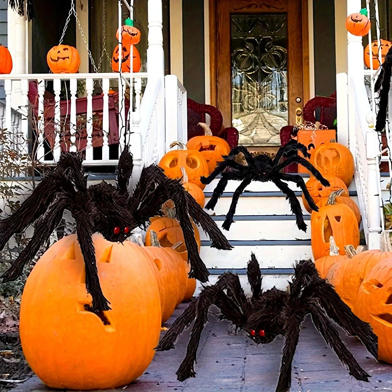 Giant Yard Spider, Indoor & Outdoor