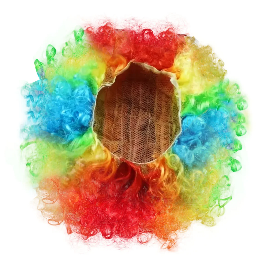 Rainbow Afro Clown Wig