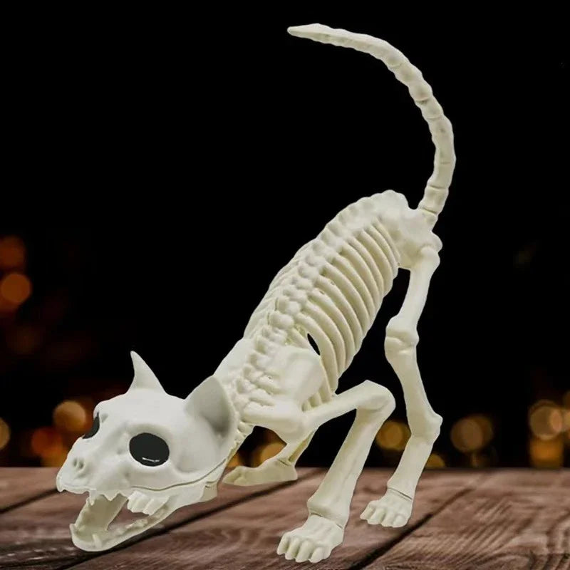 Cat and Mouse Skeleton Set