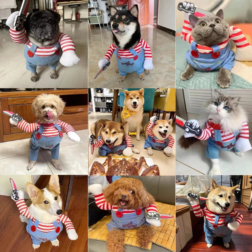 Large Dog Halloween Costume