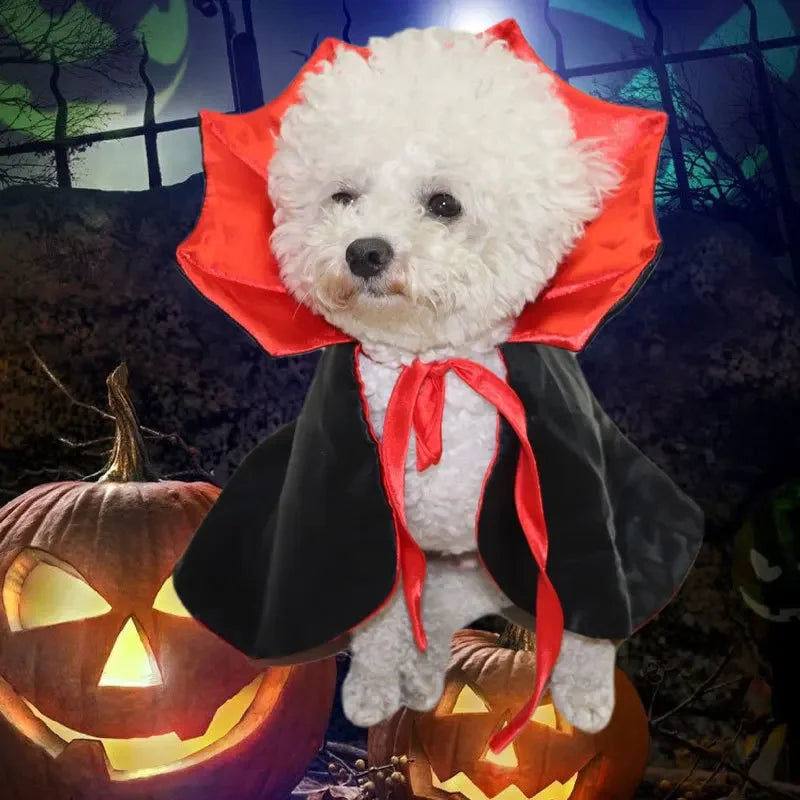 Funny Pet Dog Costume