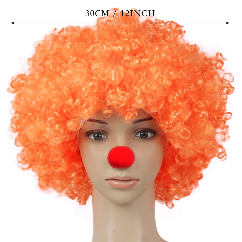 Rainbow Afro Clown Wig