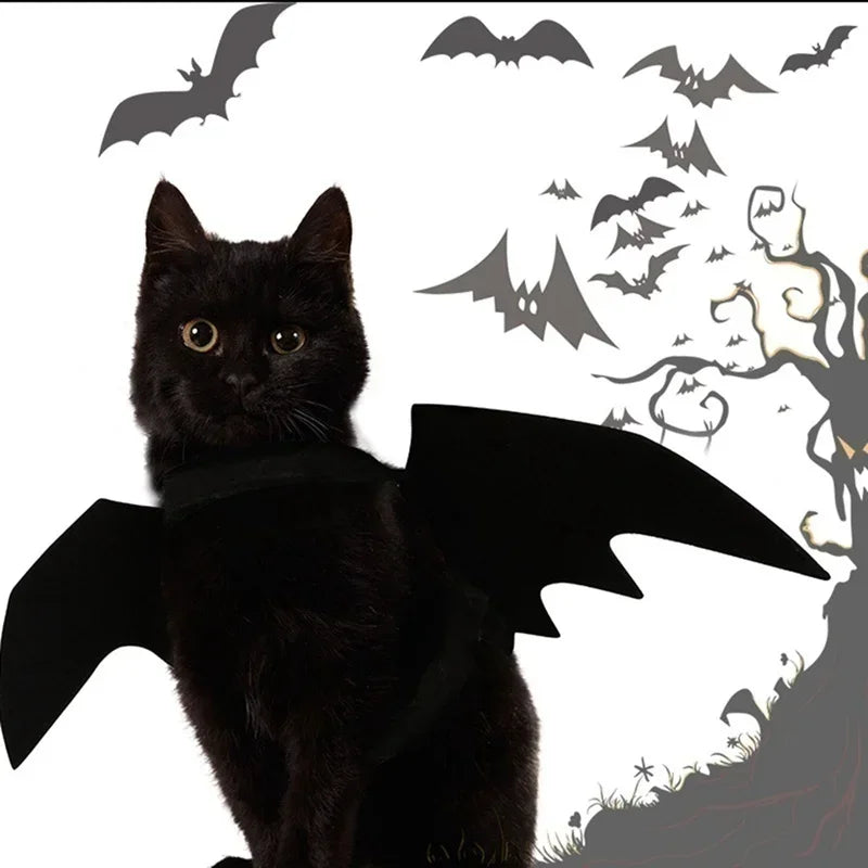 Pet Bat Wings Harness