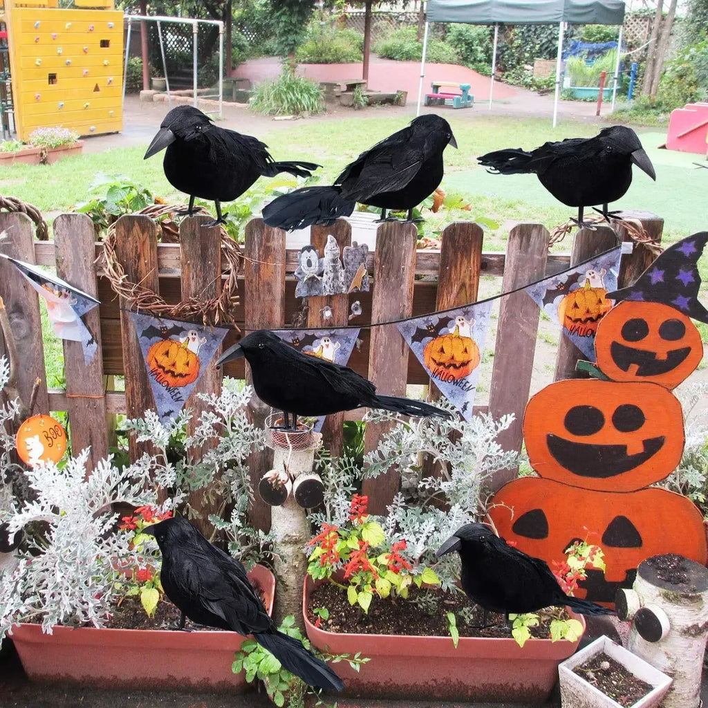 Black Feather Crow Set (1-6pc)