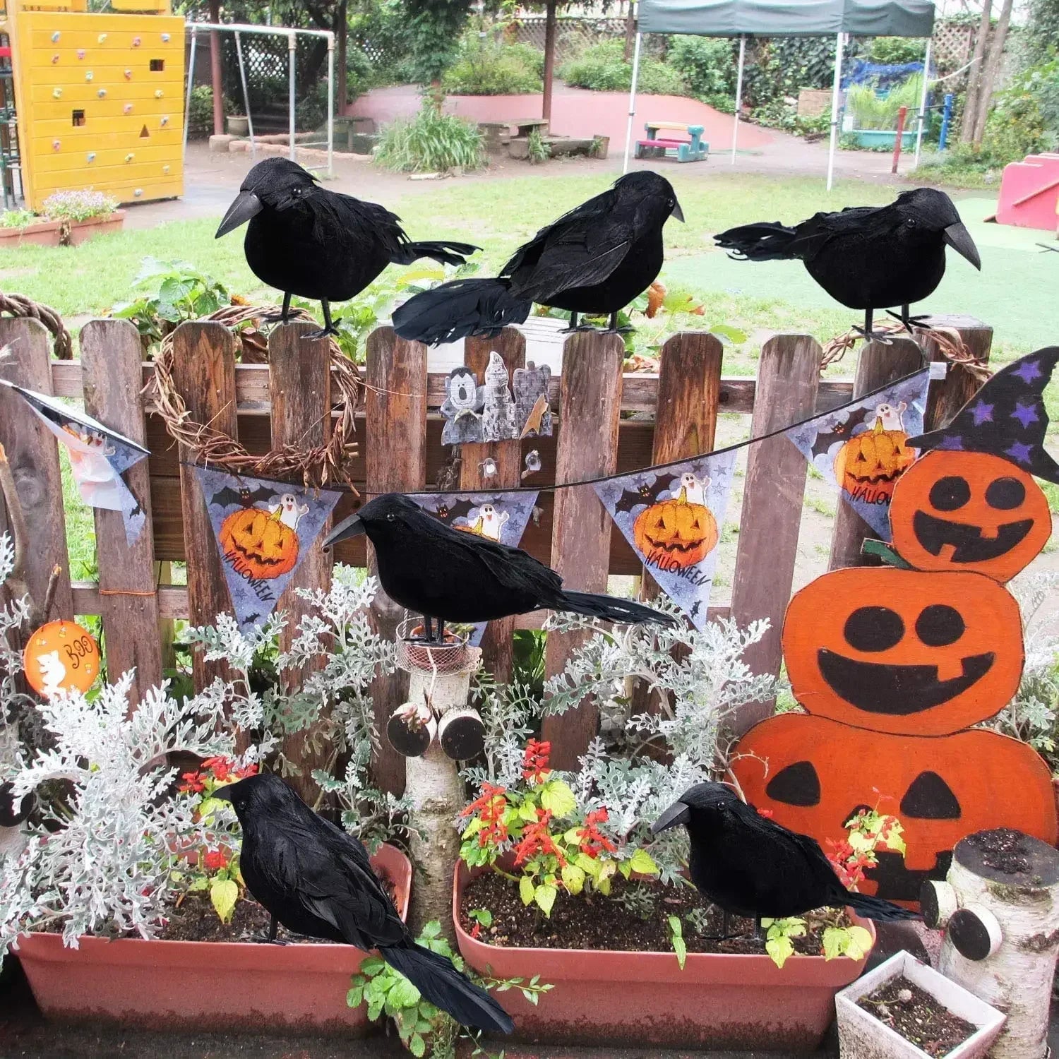 Black Feather Crow Set (1-6pc)