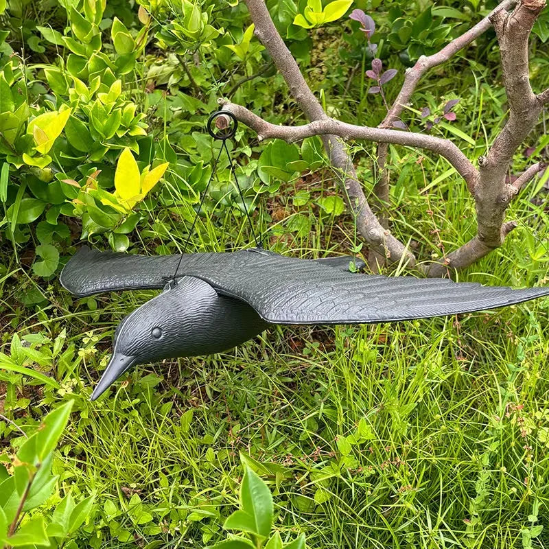 Black Crow Bird Simulation (Raven)
