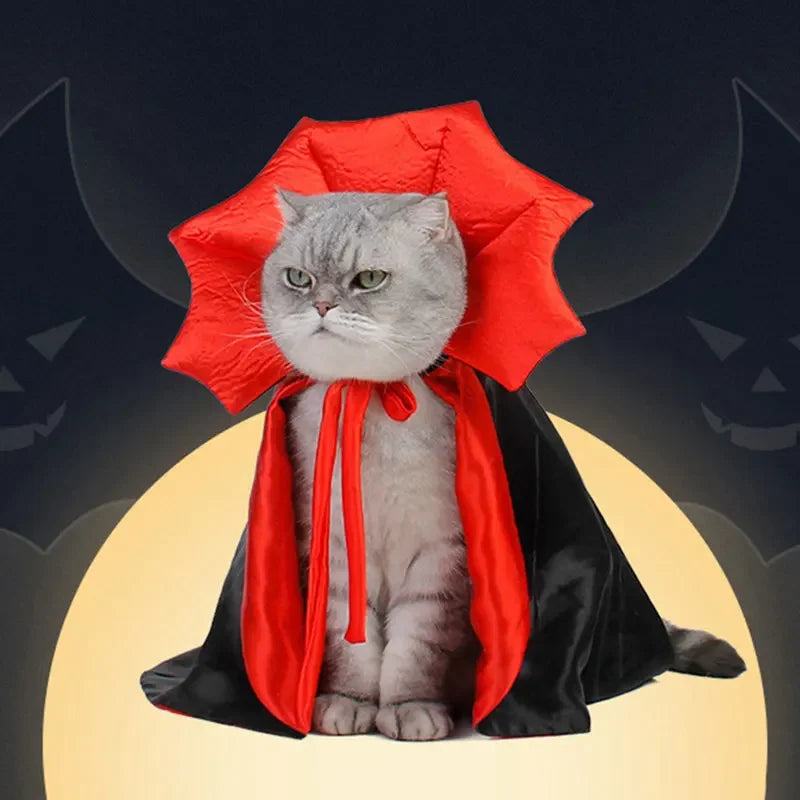 Funny Pet Dog Costume