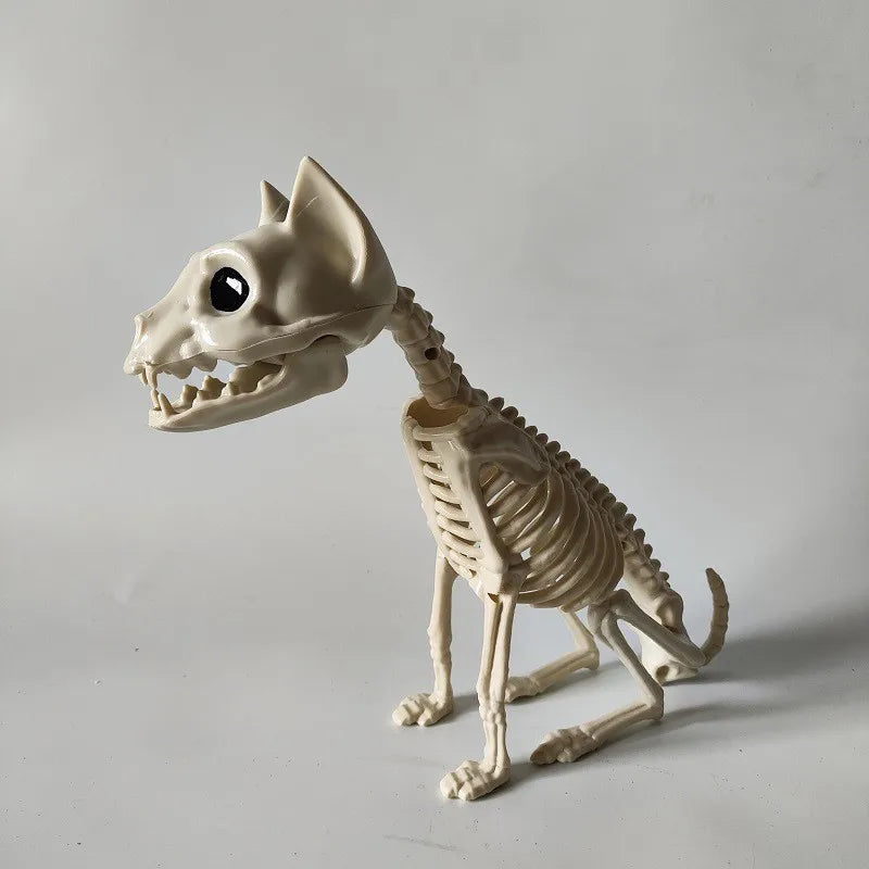 Cat and Mouse Skeleton Set
