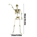 Full-Body Outdoor Skeleton