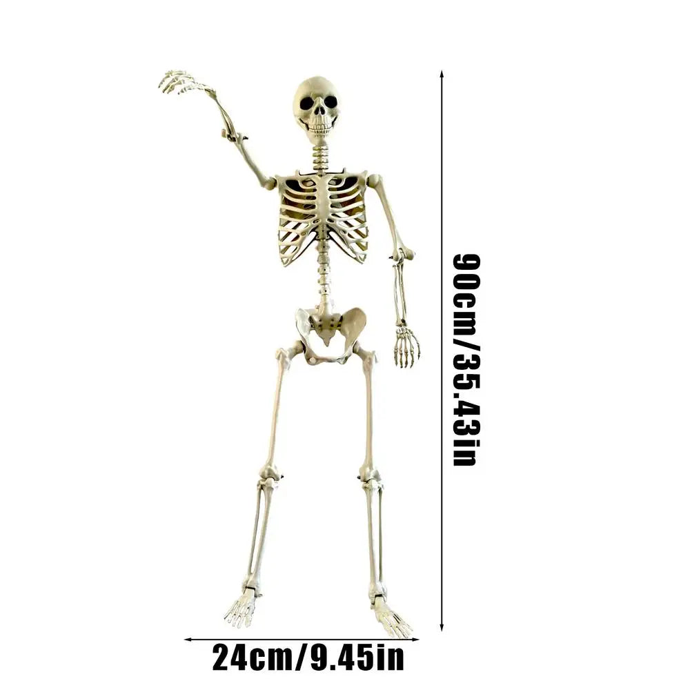 Full-Body Outdoor Skeleton