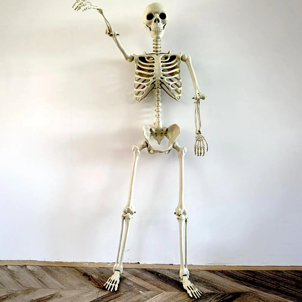 Full-Body Outdoor Skeleton
