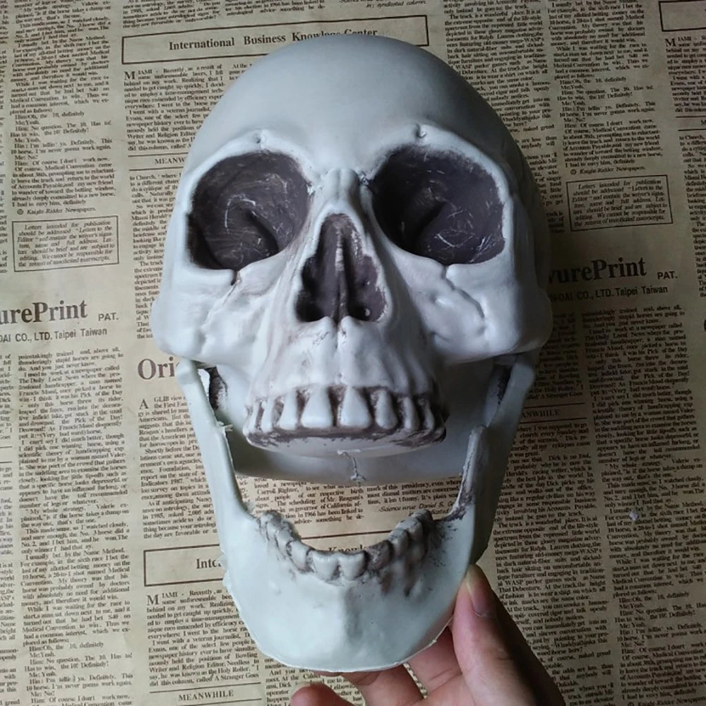 Realistic Plastic Skull Decoration