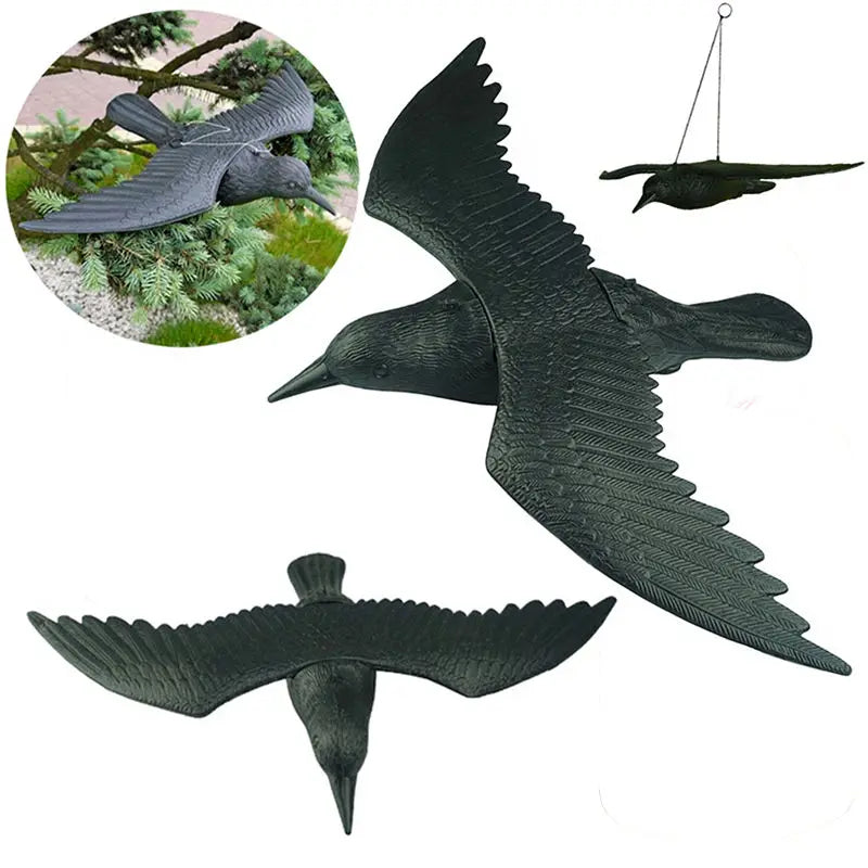 Black Crow Bird Simulation (Raven)