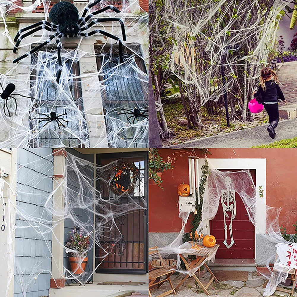 Stretchy Spider Web with Spiders